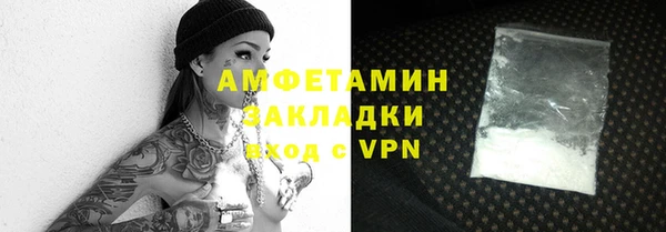 гидра Горняк