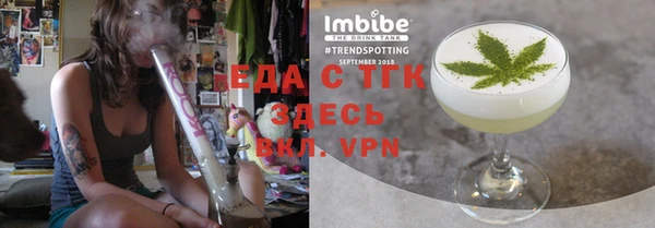 гидра Горняк