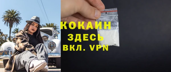 гидра Горняк