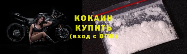 гидра Горняк