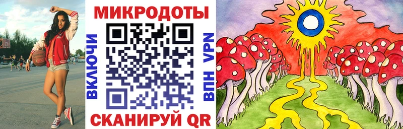 Псилоцибиновые грибы MAGIC MUSHROOMS  Духовщина 
